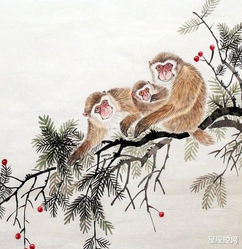 生肖|11月上旬受苦减少，进账增多的4生肖，事业开门红，生意忙数钱