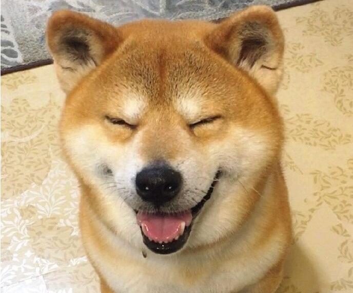 「」潜伏轿中坐，A股主力抬