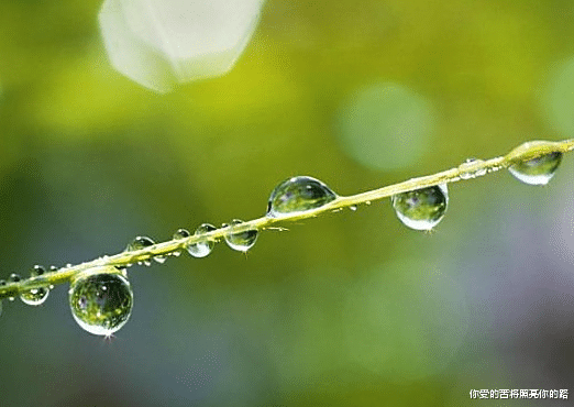 射手座|8月份开始，4属相吉星伴身，财源滚滚喜临门，迎接崭新生活