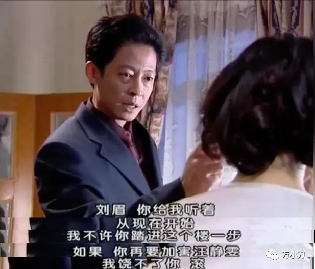 『王志文』“芳心纵火犯”猎艳手册