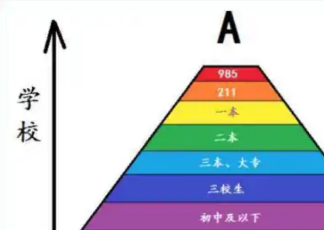 大学生|大学生真的多如“牛毛”?本科生人数泛滥,学历真的没有用?