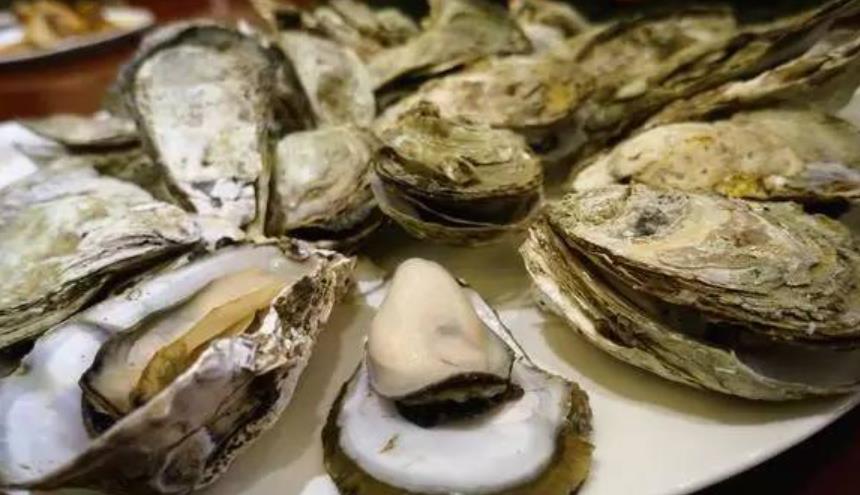 |明明长得一模一样，为何一个叫牡蛎，一个叫生蚝？弄懂后别乱买了