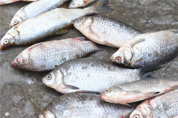 烤鱼|医生告诫：3种鱼要少吃，或许会“唤醒”癌细胞，需要远离