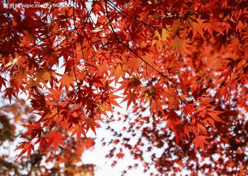 |做无货源淘宝店铺季节性类目，遇到换季该怎么办?