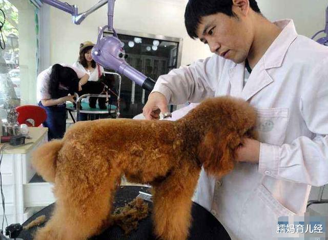 幼师|专科生就业薪资比不过本科?这5个专业的专科生,本科也追不上!