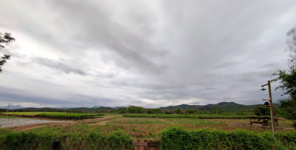 『张子枫』《向往的生活4》犯错了？节目组发文道歉，网友：希望说到做到！