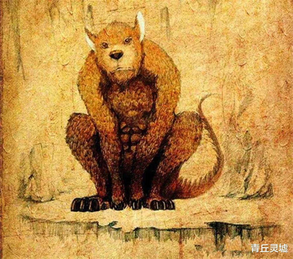 猩猩|唯一会说人话的兽类，狌狌到底是怎样神奇的动物