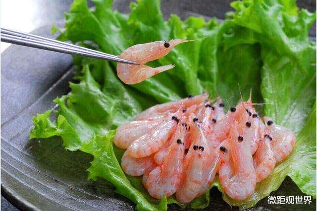 #南极#南极磷虾每年被吃掉3亿吨,为何一直吃不完?专家:这是地球BUG