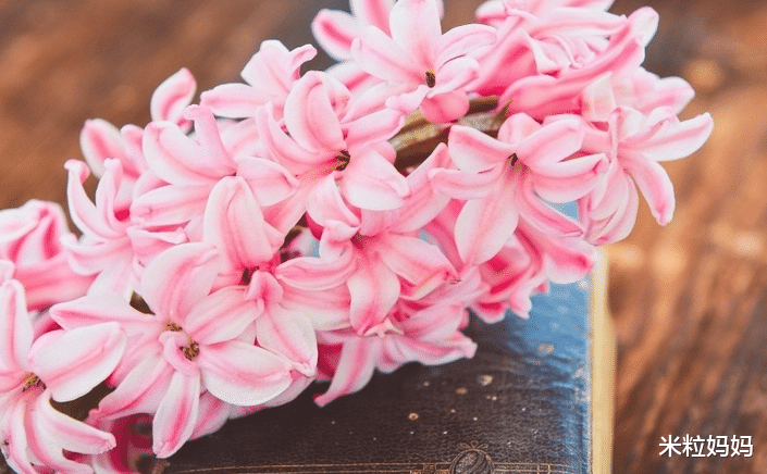 拥抱|10月中旬,福星进入人生,横财进入家门,事事顺利的四大生肖