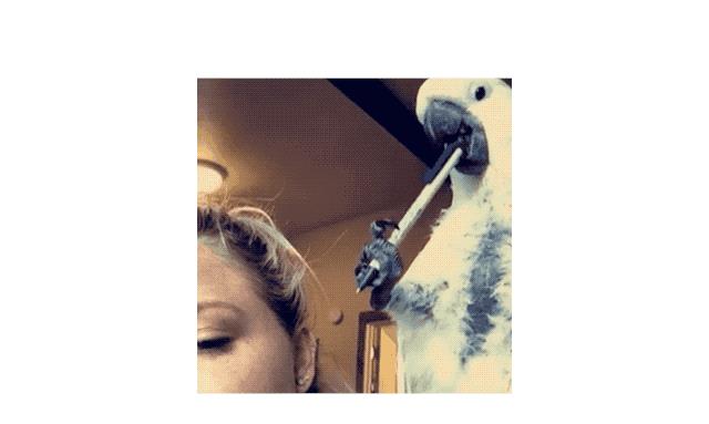 休息一下，享受这些可爱的瞬间