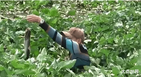 |一般人不在这里钓鱼，都看不到水了，钓上鱼还需要下水抓，不简单