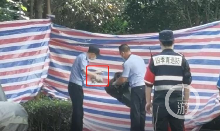 杭州|失踪女子遇害案疑点：第一现场在哪? 是被丈夫分尸?