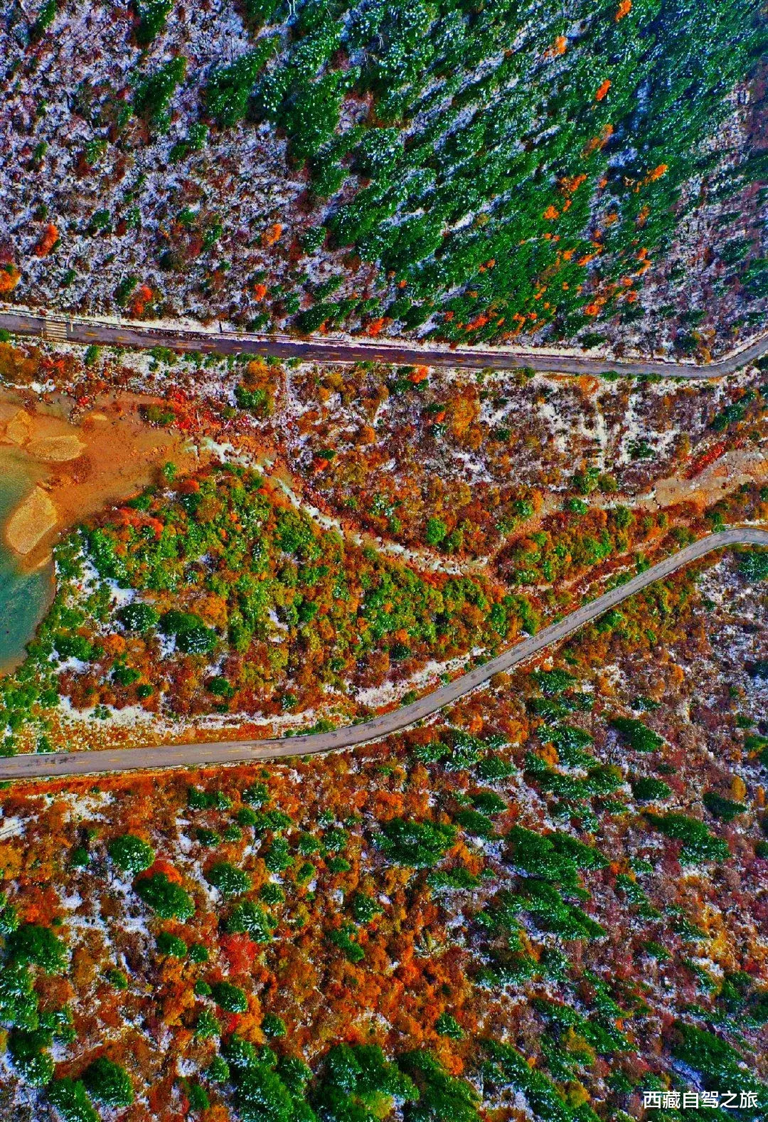 若尔盖|景 | 再过一个月，来看世间醉美的秋天！