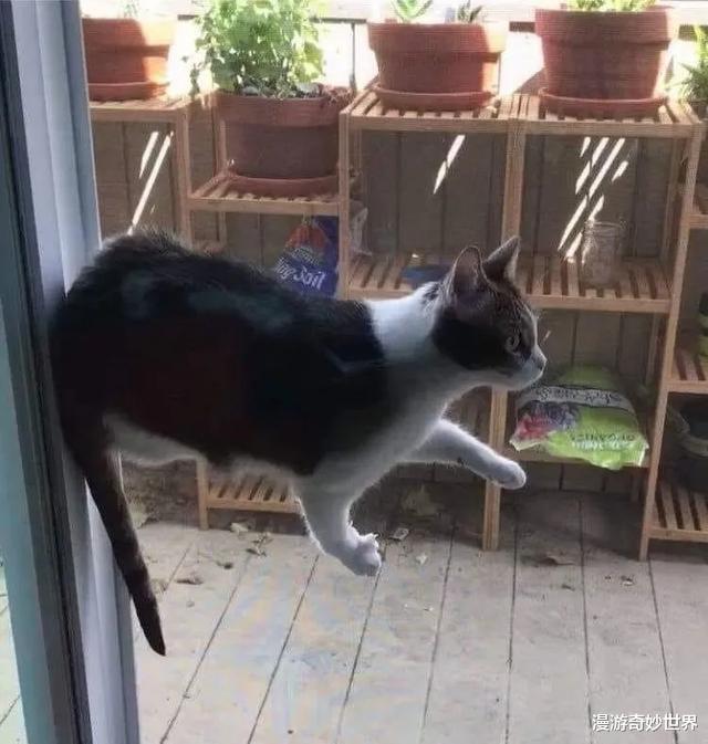 【】25张匪夷所思的照片，神奇的“反重力”世界