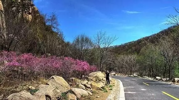 [自驾]五一小假期，自驾之旅，京郊16条醉美的公路，总有一款适合您！