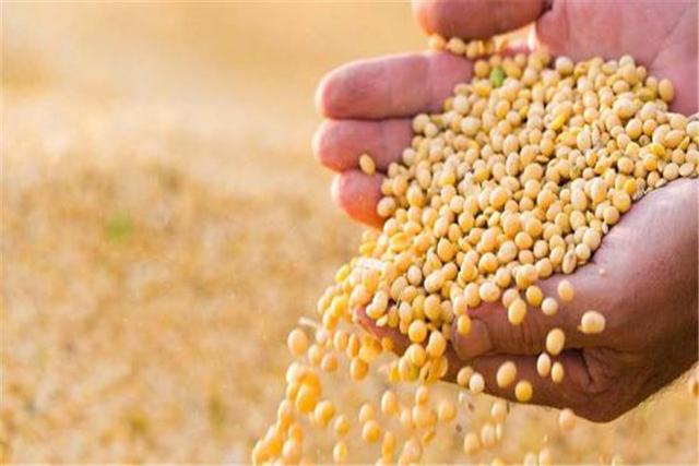 农产品|继大量采购大豆后，中国又向美国发出一张176万吨的大单