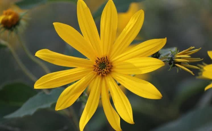 生肖|10月下旬开始运势百倍涨，赚取万贯家财，吉星关照的四大生肖