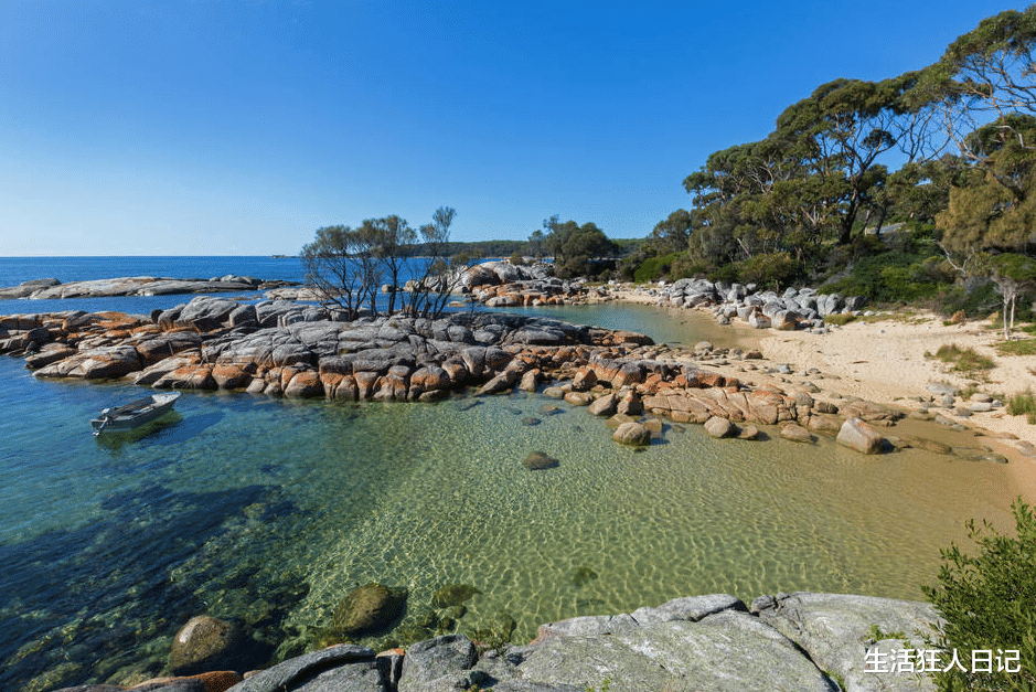 海狗|沙漠中的猎物匮乏时,徘徊在骷髅海岸的沙漠狮,靠吃海狗维持生计