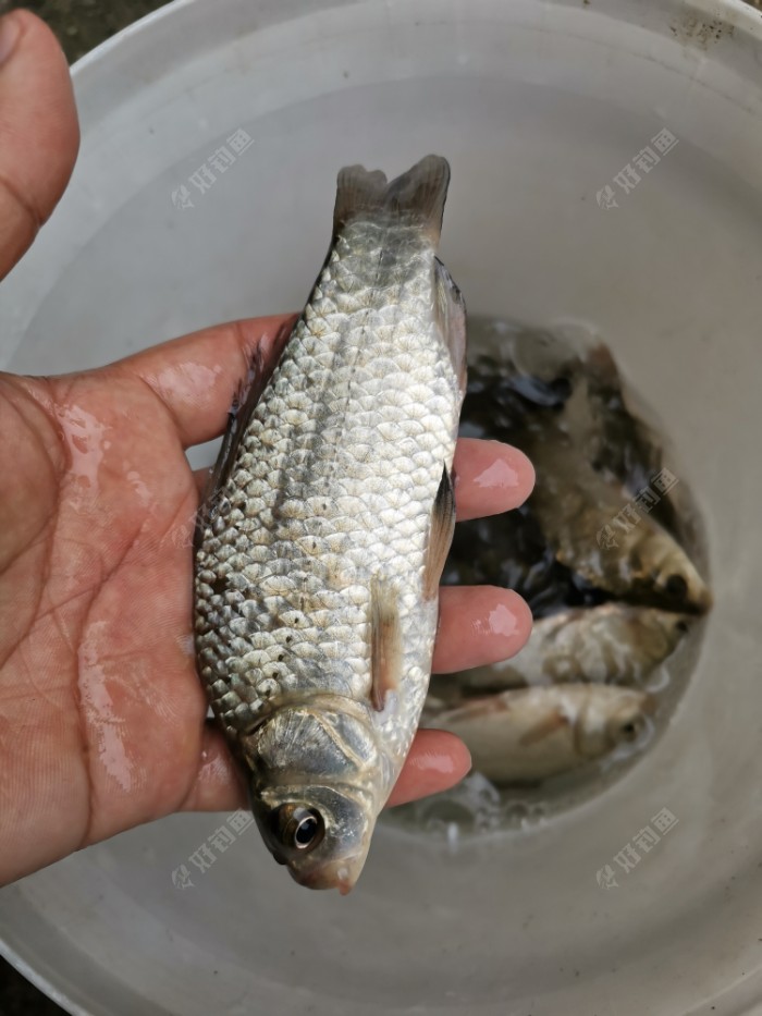 |又多一解毒好去处——门口湾子