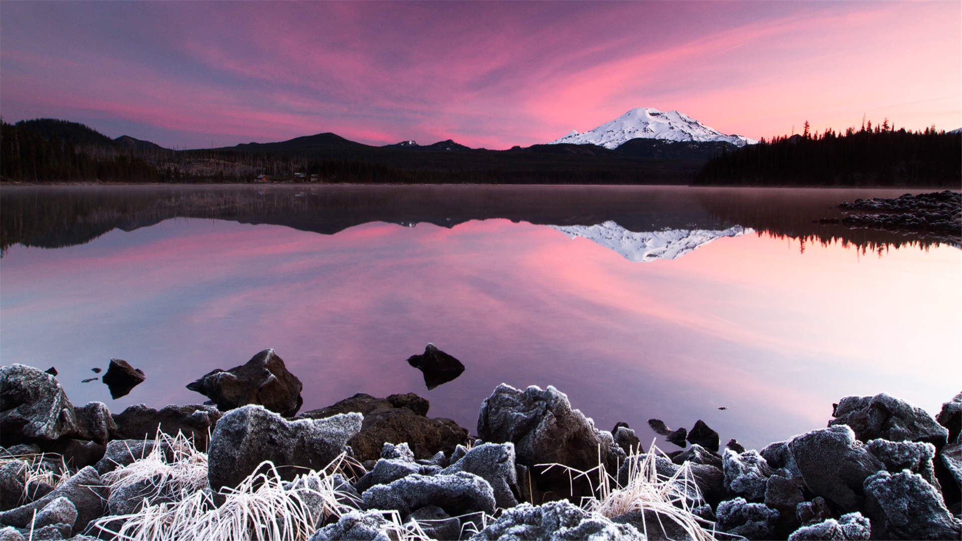 运势|从8月14日开始,运势不错,会福星高照,一顺百顺的三大生肖