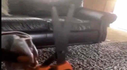 CPU|华为Mate 40国行和海外版不一样？ | 苹果自研处理器发力，牙膏厂有压力了