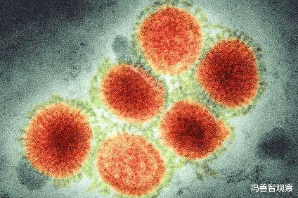 『』新冠病毒永远不会消失？世卫组织最新研究：可能会和人类长期共存
