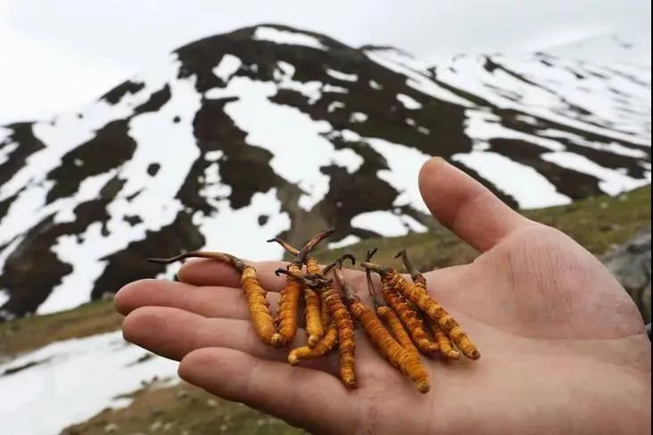 人民法院报|“我们之前好像认识”，一句话让300余人沦陷......