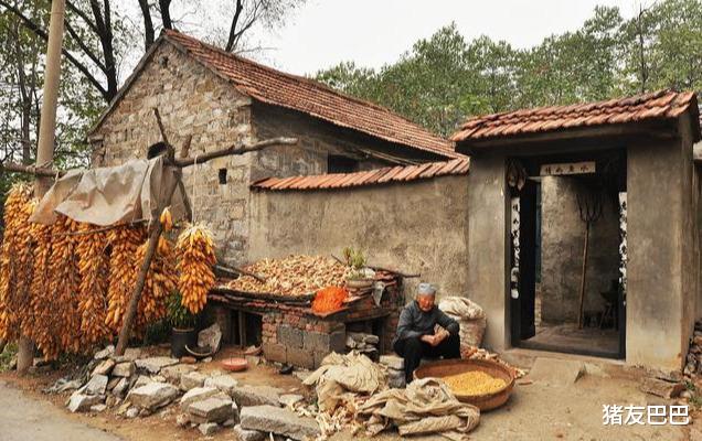 立秋|7日白露，俗语“立秋不入秋，天冷白露后”，白露后还热吗？