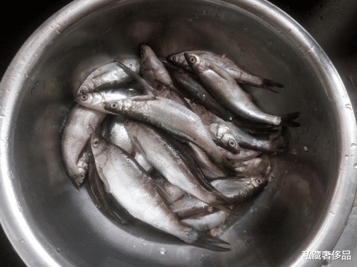 [鲫鱼]那些深受钓鱼人喜爱的鱼！