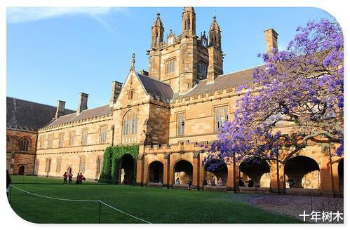 浙江省|50位630分的考生惨遭滑档，985的分数上二本：复读吧！来年注意点