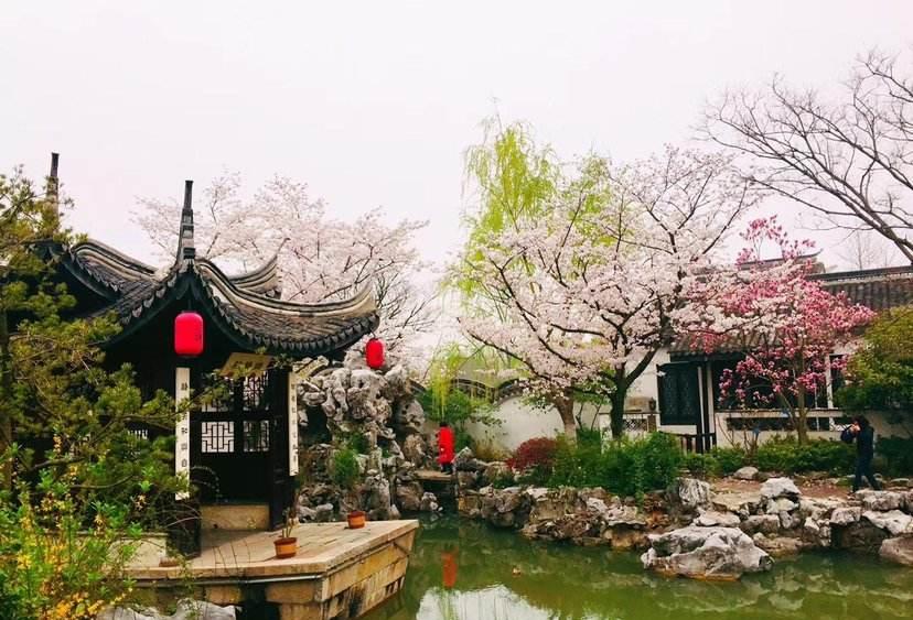 「江南古镇」被遗忘的江南古镇，小巧玲珑五脏俱全，而且不收门票免费玩