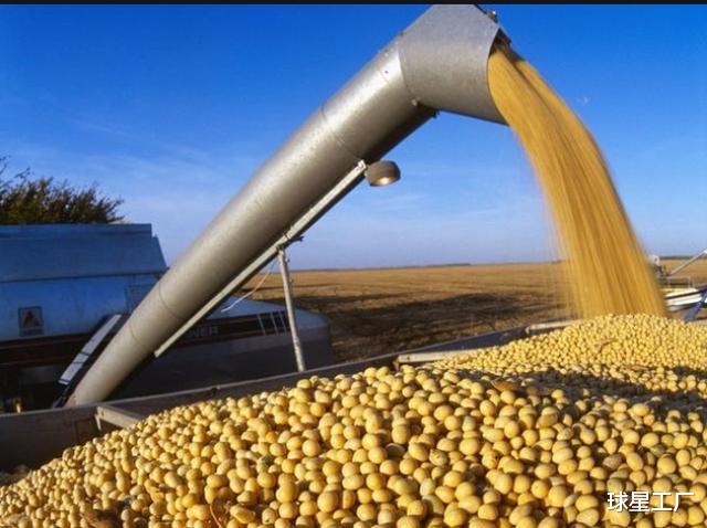 加拿大▲含泪“让”出中国市场,忍痛损失150亿!俄国:感谢感谢