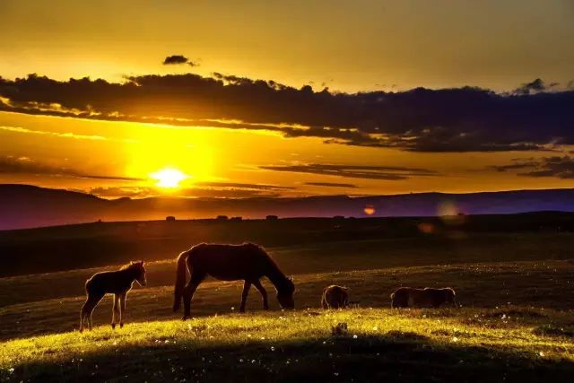 「乌孙」你为什么留在喀拉峻？