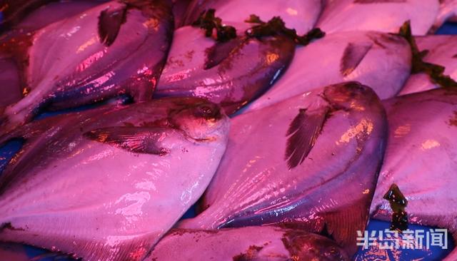 半岛新闻客户端|螃蟹50元、大海螺45元！记者走市场逛码头，青岛最“鲜”海货价格表来了