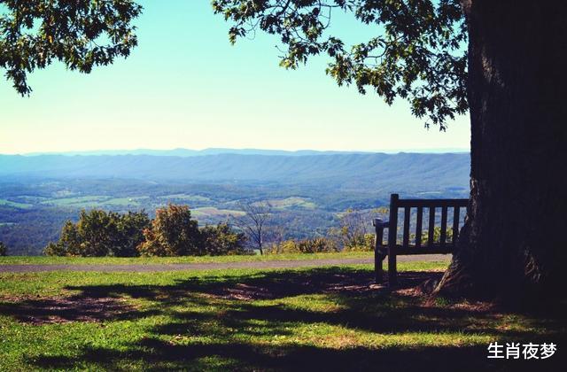 「狮子座」6月出门撞好运，3属相横财加身，好消息不断，时运亨通幸福降临