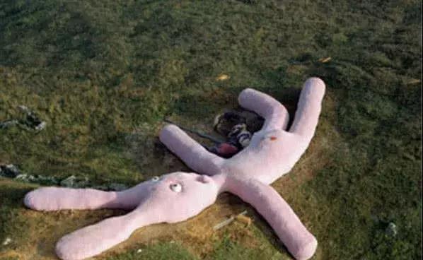 兔子|世界最大的“兔子”：曾在卫星地图上都能看到，现在却成了这样！