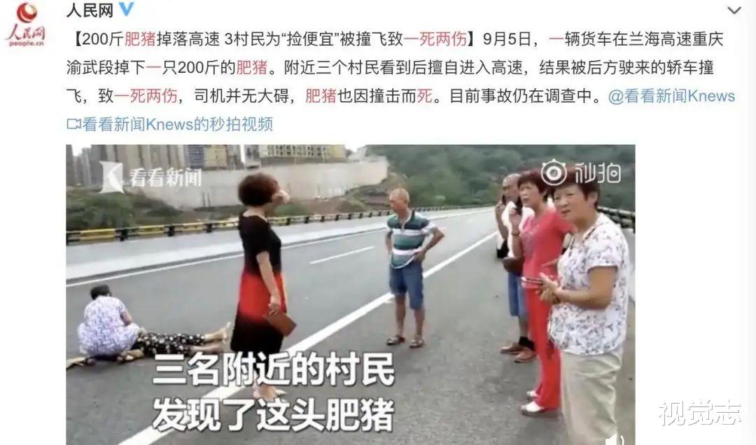 视觉志|10吨猪肉翻车遭哄抢：我看到了人性的分水岭