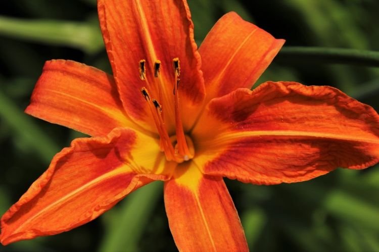 生肖|10月开始，事业姻缘皆顺畅，生活眉眼带笑的四大生肖