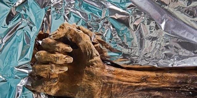 5千年前的冰人出土,科学家根据苔藓,还原出死者最后的33小时