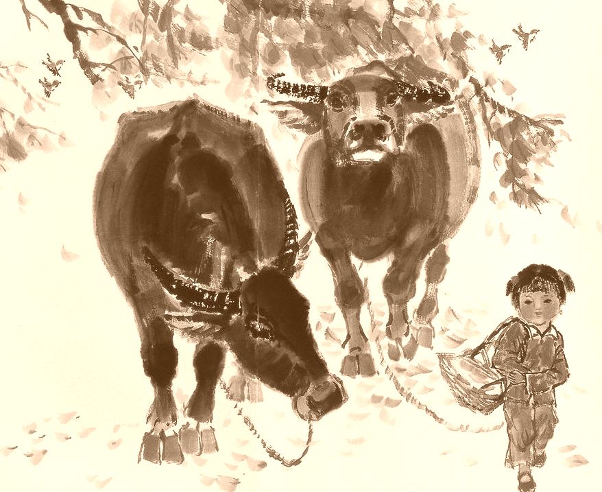 大金牛：给你提个醒！“一亿年”出现一次的“红双喜”从天而降！打开未来一路发发发！