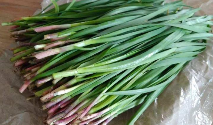 「疾病」为什么说头茬韭菜不能吃?吃头茬韭菜会生病?医生说出大实话!