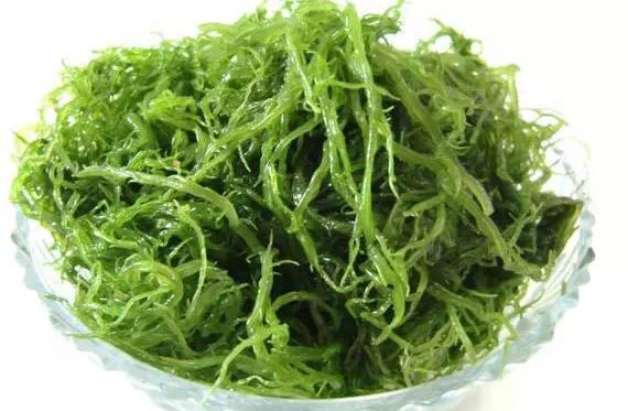 鱿鱼|开海了！这84种海鲜，你都认识吗？