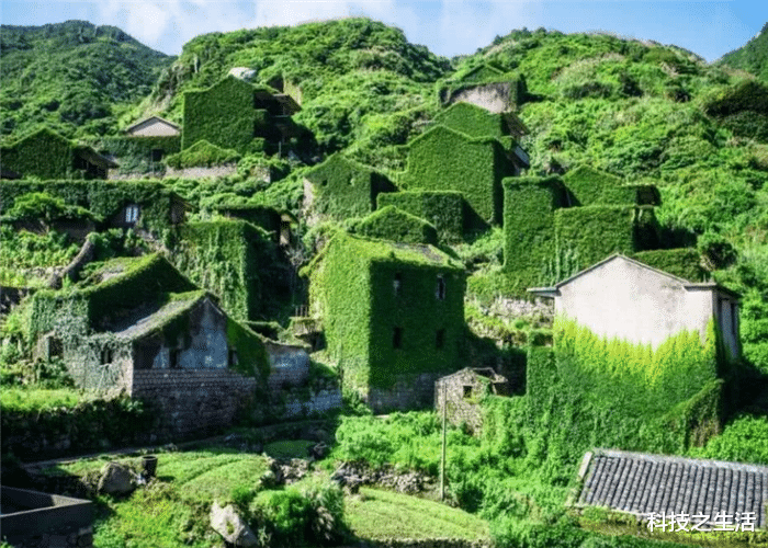 【】人类一旦消失，地球将发生什么变化？我国的一处村落或有答案！