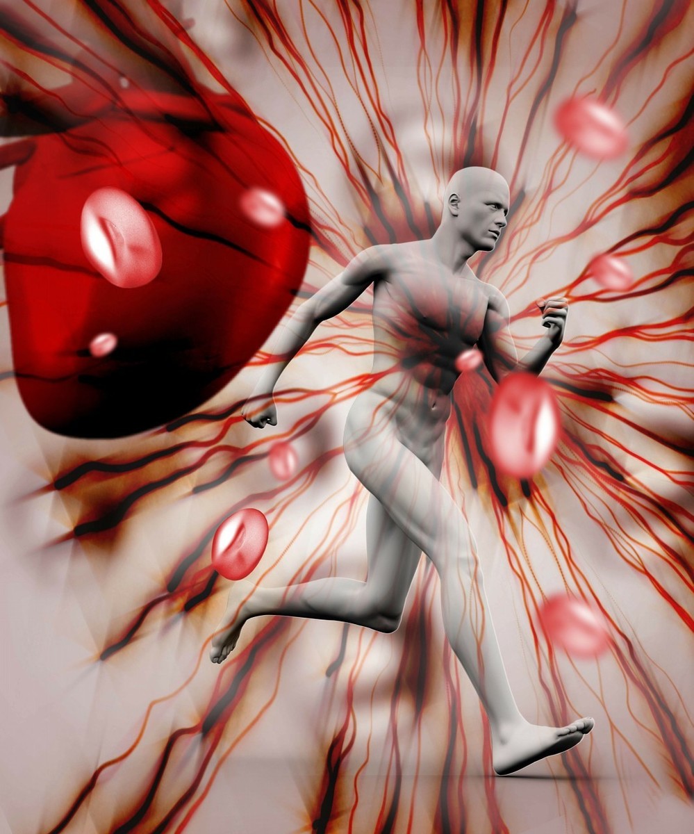 #科学家#龟能活千年，那人类的极限寿命又是多少？科学家算出来了！