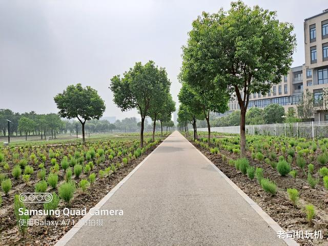 5G|何必非要追求旗舰，三星Galaxy A71评测