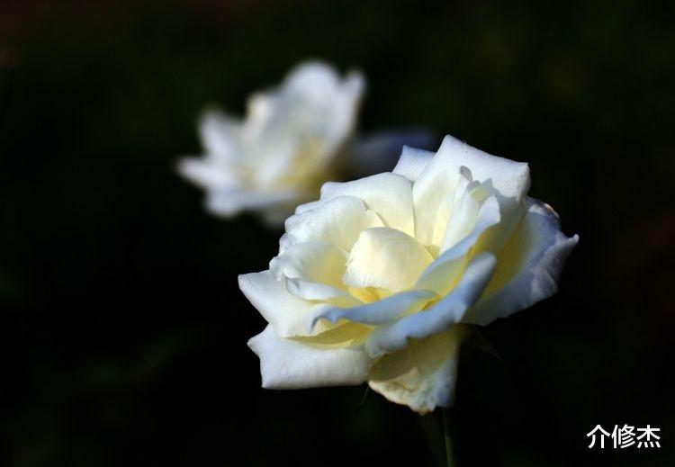 射手座|10月上旬起，旧爱难忘，复合有意，续写前缘，真情重现的4大星座