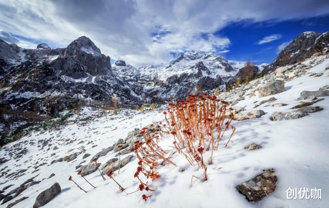 运势|2020下半年，爱情运势旺，金玉良缘挡不住，花好月圆喜相逢的星座