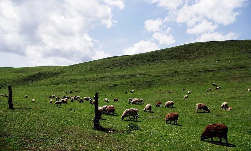 伊犁▲伊犁最低调的小县城，藏着最美的百里画廊，很多人还不知道！