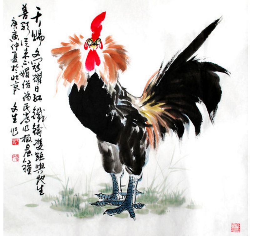 #属鸡#看完红了眼：属鸡人的一生宿命，，一切都是天意！