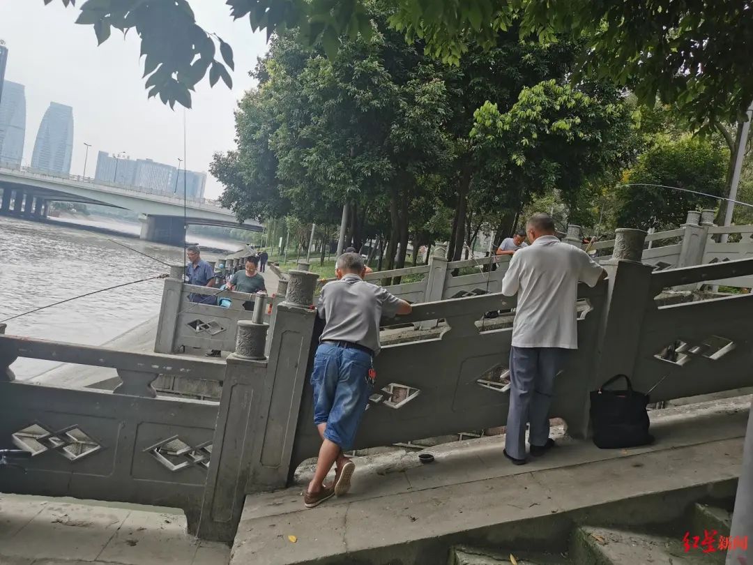 成都|今起全面禁止！